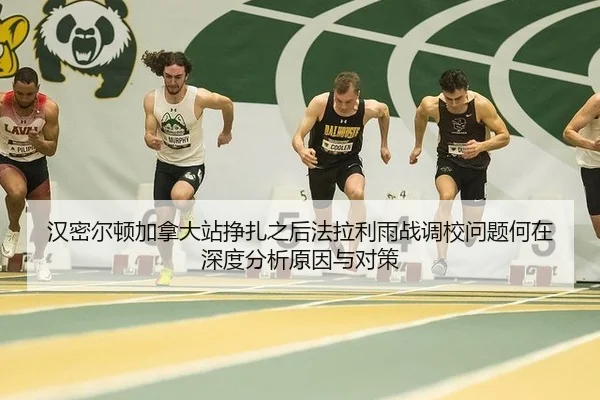 汉密尔顿加拿大站挣扎之后法拉利雨战调校问题何在深度分析原因与对策