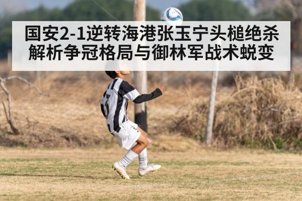 国安2-1逆转海港张玉宁头槌绝杀 解析争冠格局与御林军战术蜕变